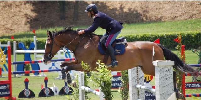  Ejercicios y cursos de equitación